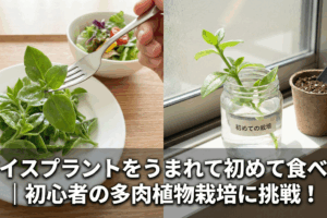 iceplant-hatsutaiken-saibai-challenge