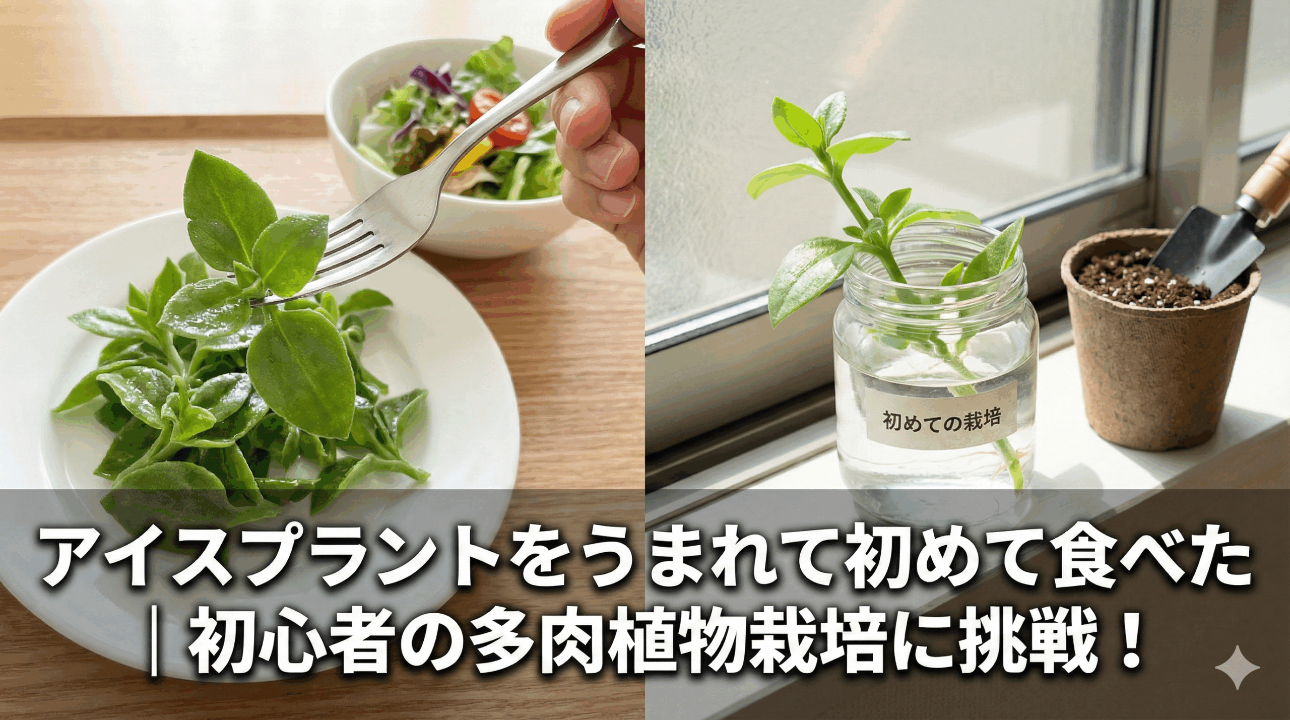 iceplant-hatsutaiken-saibai-challenge